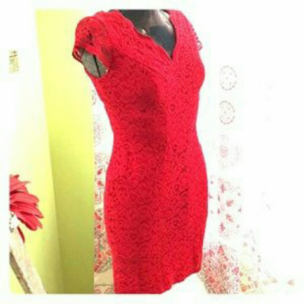 🌼Liz Claiborne Lace Dress🌼 (4)